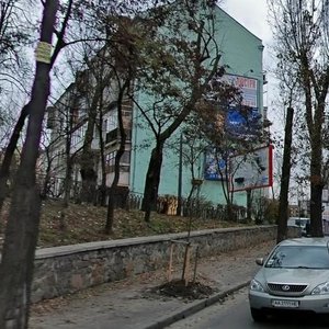 Sichovykh Striltsiv Street, 84, Kyiv: photo