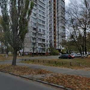 Yakuba Kolasa Street, 14, Kyiv: photo