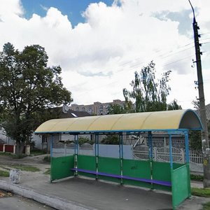 Kyivska vulytsia, 270, Brovary: photo