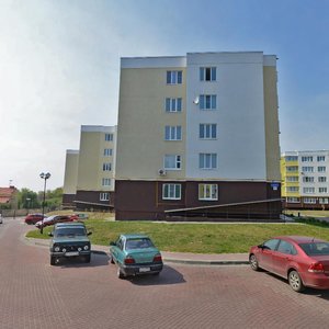 Mechnikova Street, 30, Kolomna: photo
