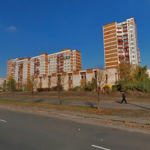 Serzha Lyfaria Street, 8, Kyiv: photo