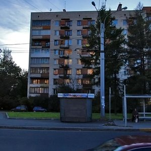 Svetlanovskiy Avenue, 37 ، سان بطرسبرغ: صورة