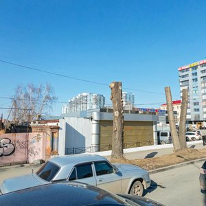 Екатеринбург, Улица Долорес Ибаррури, 4: фото