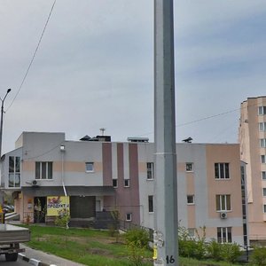 Tolstogo Street, 51, Belgorod: photo