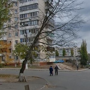 Burmystenka Street, 10, Kyiv: photo