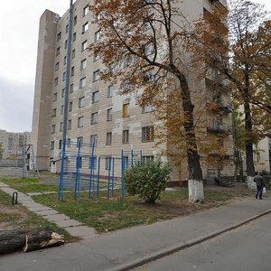 Simi Idzykovskykh Street, 15/17, Kyiv: photo