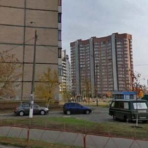 Kniazhyi Zaton Street, 13, Kyiv: photo