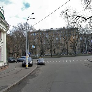 Moskovska Street, 39, Kyiv: photo