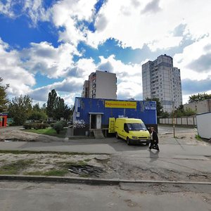 Mezhova Street, 23Б, Kyiv: photo