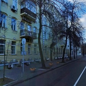 Shovkovychna Street, 3, Kyiv: photo