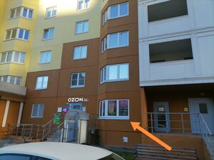 Korolyova Avenue, 64к1 ، سان بطرسبرغ: صورة