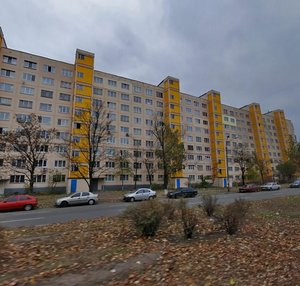 Sholom-Aleikhema Street, 12, Kyiv: photo