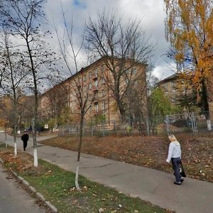 Kolomyiskyi Lane, 6, : foto