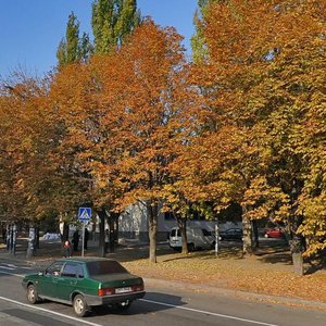 Vulytsia Peremohy, 77, Zaporizhia: photo