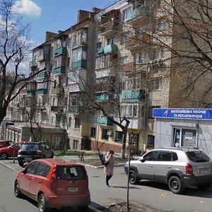 Volodymyrska Street, 76, Kyiv: photo
