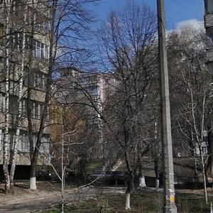 Novohospitalna Street, 5А, Kyiv: photo