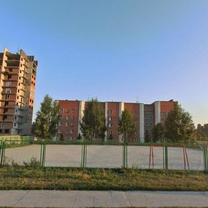 Новосибирская область, Рабочий посёлок Краснообск, 245: фото