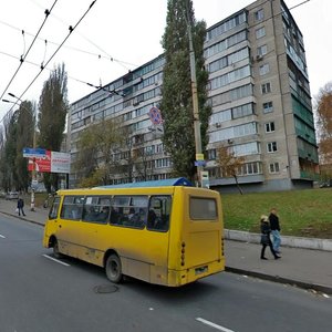 Povitroflotskyi Avenue, 8, Kyiv: photo