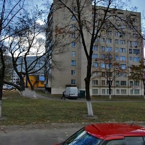 Yuriia Illienka Street, 89, Kyiv: photo