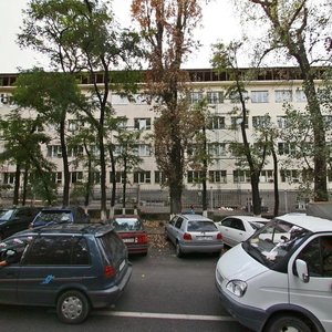 Zhandosov Street, 25, Almaty: photo