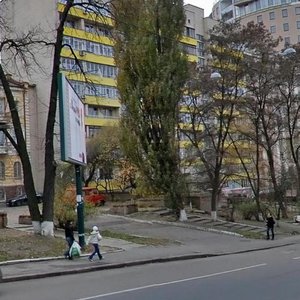 Lva Tolstoho Street, 33, Kyiv: photo