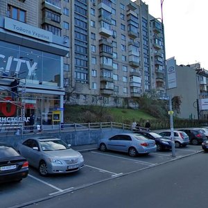 Mechnykova Street, 18, Kyiv: photo