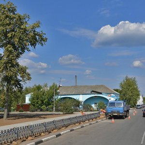 Yana Grunta Street, 1А, Kolomna: photo