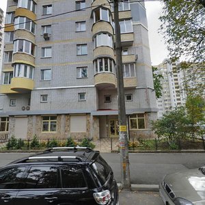 Mykhaila Kotelnykova Street, 33, Kyiv: photo