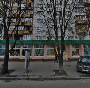 Lesi Ukrainky Boulevard, 19, Kyiv: photo