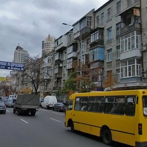 Saksahanskoho Street, 102, Kyiv: photo