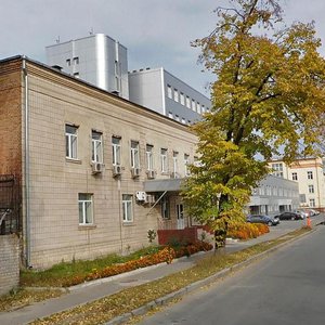 Vikentiia Khvoiky Street, 13, Kyiv: photo