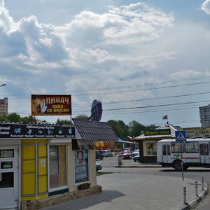 Vladimira Nevskogo Street, 48Г/2, Voronezh: photo