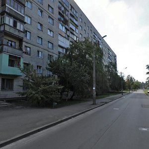 Ihoria Kachurovskoho Lane, 1, Kyiv: photo