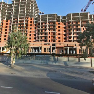 Dusi Kovalchuk Street, 238, Novosibirsk: photo