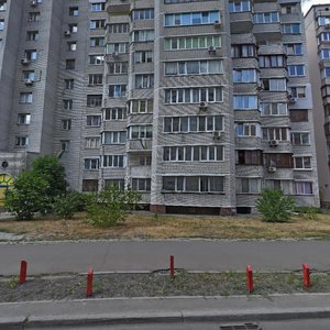 Kniazhyi Zaton Street, 14А, Kyiv: photo