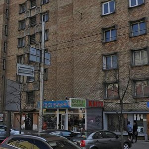 Saksahanskoho Street, 45, Kyiv: photo