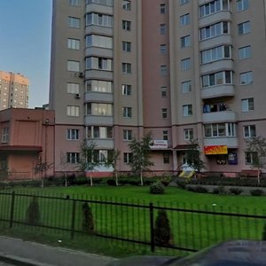 Vyshniakivska Street, No:13, Kiev: Fotoğraflar