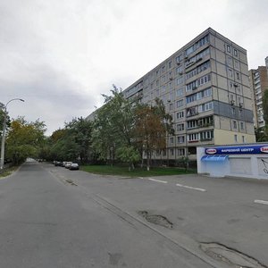 Raiduzhna Street, 3Б, Kyiv: photo