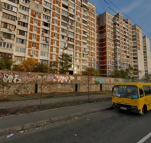 Heroiv Stalinhrada Avenue, 60, Kyiv: photo