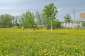 Vorovskogo Street, 68Ак1 ، تشيليابينسك: صورة