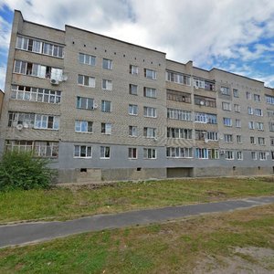 Energetikov Street, 29, Shatura: photo