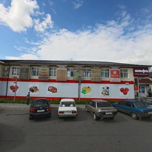 Верхняя Пышма, Улица Александра Козицына, 1: фото
