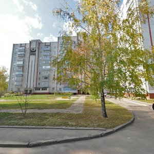 Piatnytska vulytsia, 80, Chernihiv: photo