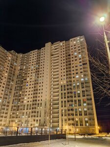 Санкт‑Петербург, Муринская дорога, 8к1: фото