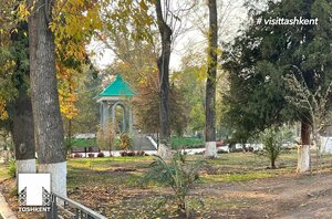 Babur Street, 33, Tashkent: photo