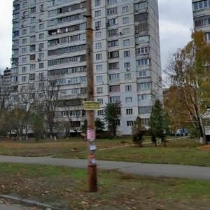 Heroiv Kosmosu Street, 11, Kyiv: photo