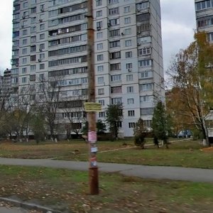 Киев, Улица Героев Космоса, 11: фото