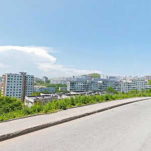 Neybuta Street, 28, Vladivostok: photo