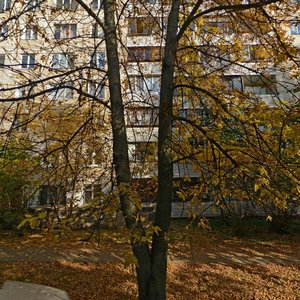 Varanianskaga Street, 52, : foto