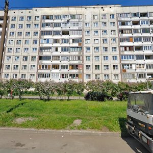 Nastavnikov Avenue, 45к1, Saint Petersburg: photo